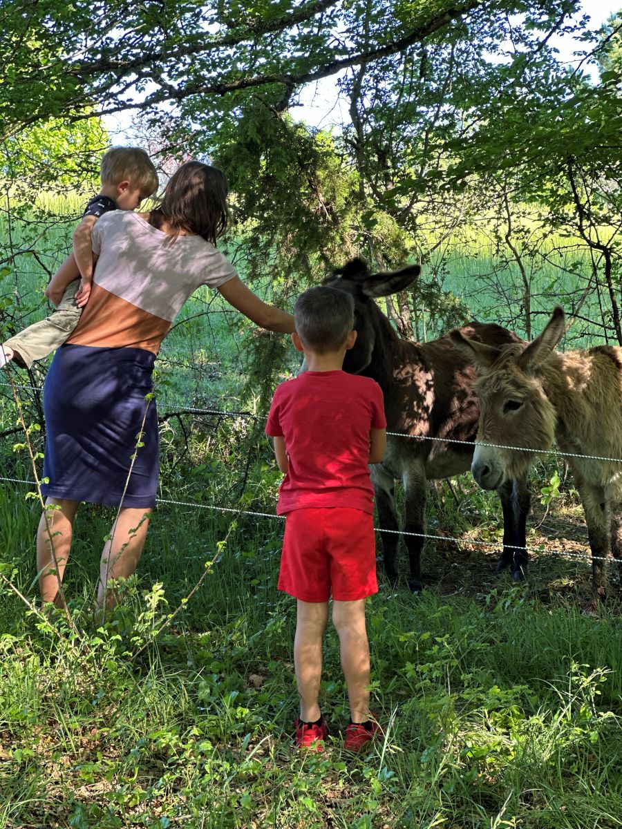 meilleure saison lot